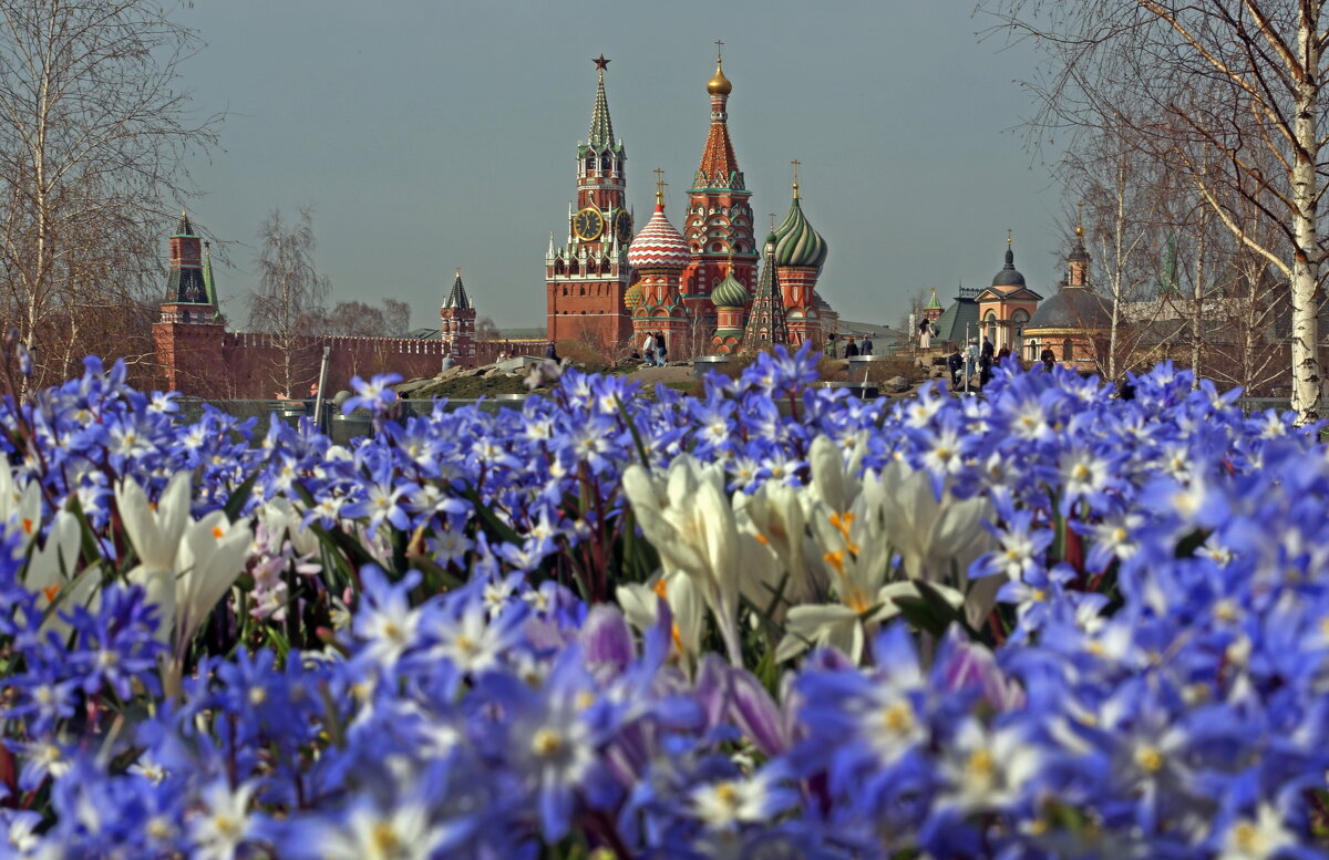 1 апреля в Зарядье - Михаил Бибичков