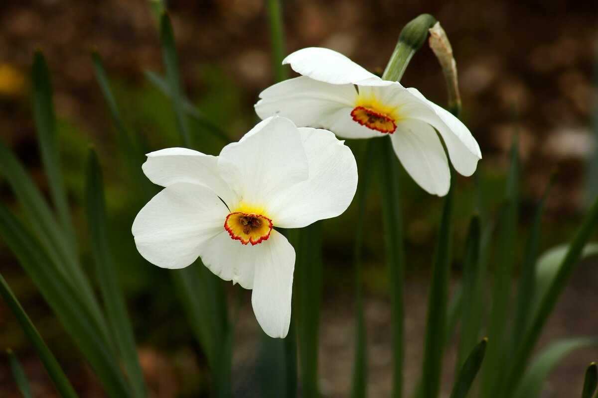 Двое - Юрий. Шмаков