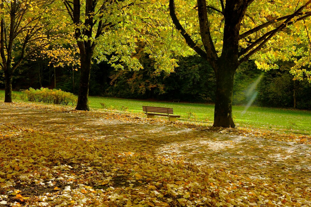 Про осень - Юрий. Шмаков