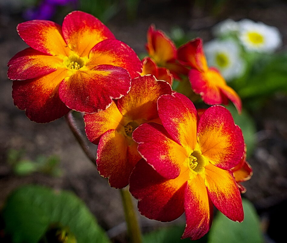 Весне дорогу. - Марина Леонидовна