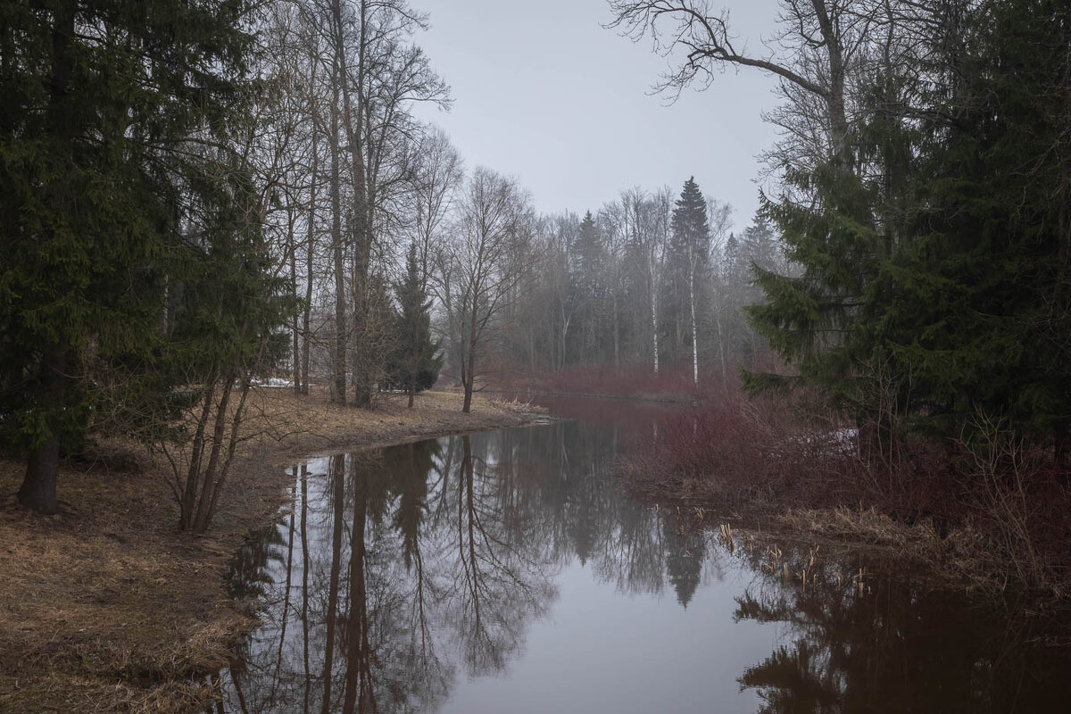 **** - Елизавета .