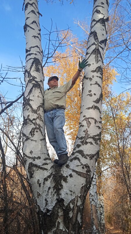 Вижу город ! - Елена Шаламова