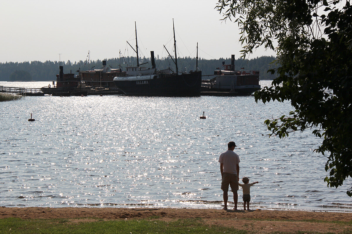 Отец и сын. Вместе по жизни - Сергей Сомихин