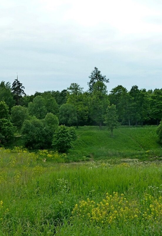 ГАТЧИНА, природа. - Виктор Осипчук