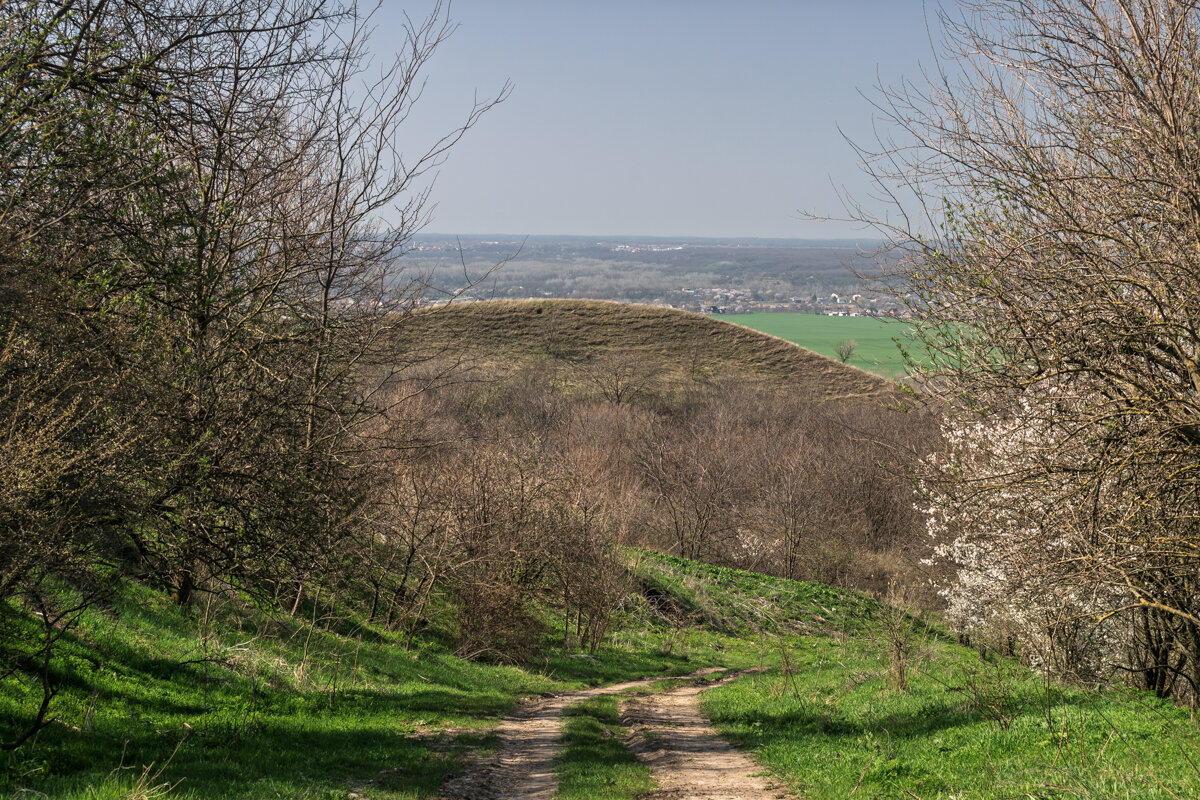 Окрестности города Армавир - Игорь Сикорский