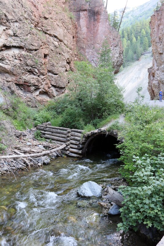 Красные ворота - Ольга 