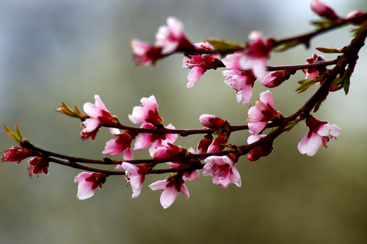 Доброе утро - Юрий. Шмаков