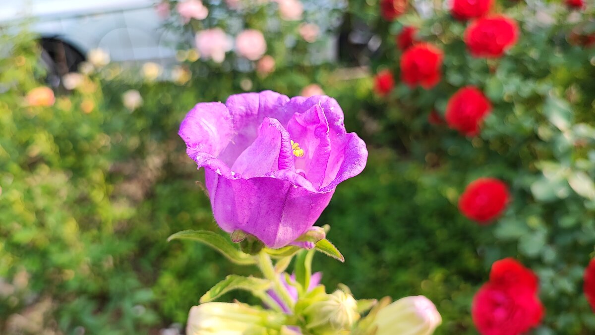 ,,, - Сергей Тимоновский