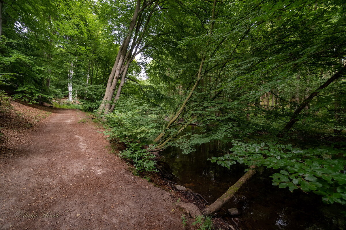 Вдоль реки... - Николай Гирш