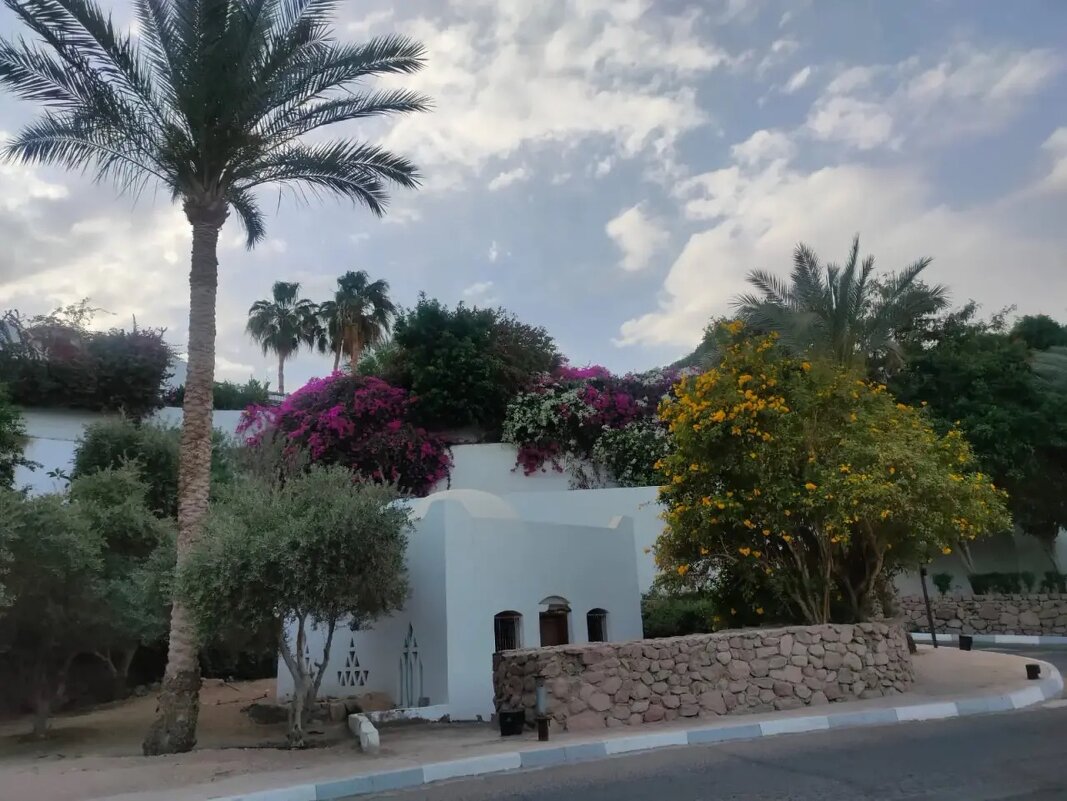 Египет. Шарм-эль-Шейх - Ирэн 