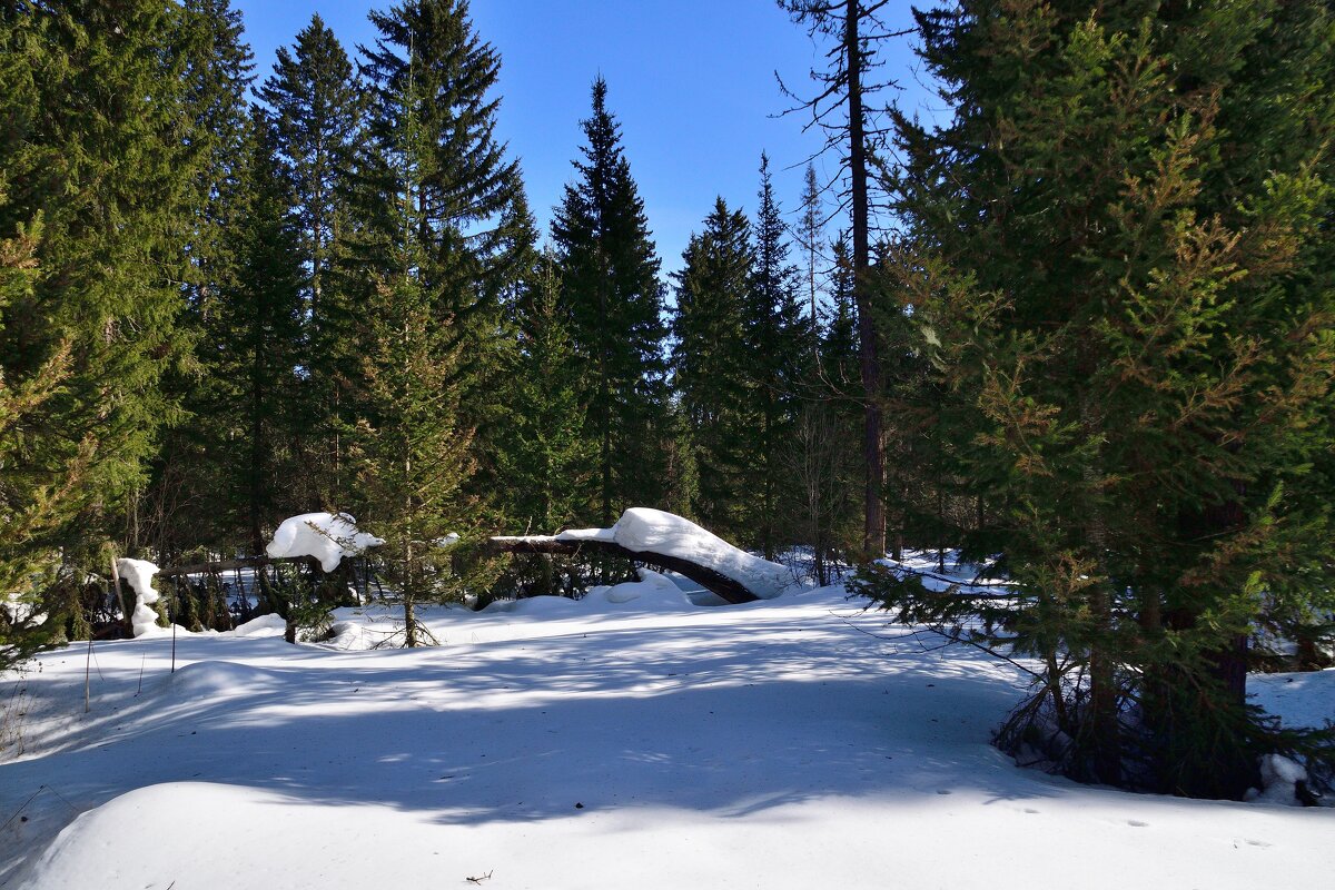 - - Владимир Мигонькин