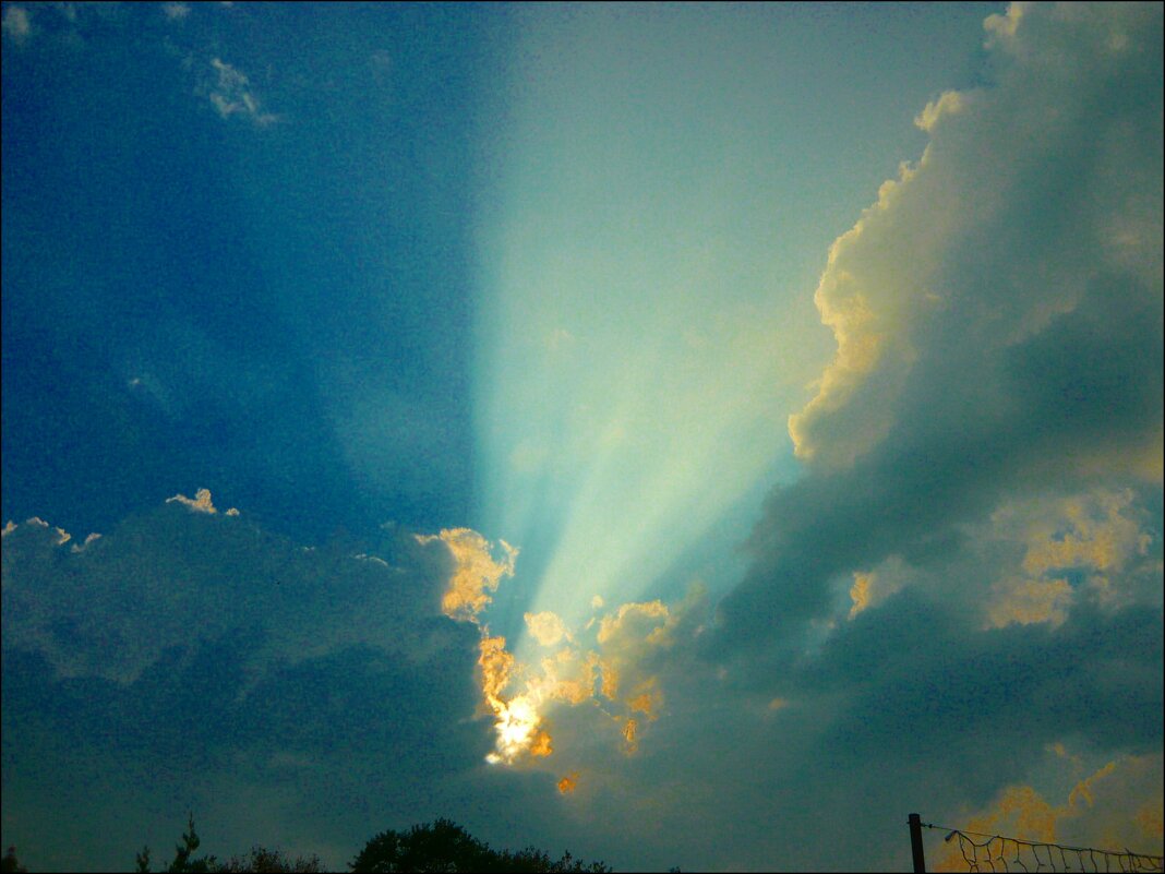 Луч солнца золотого! - Надежда 