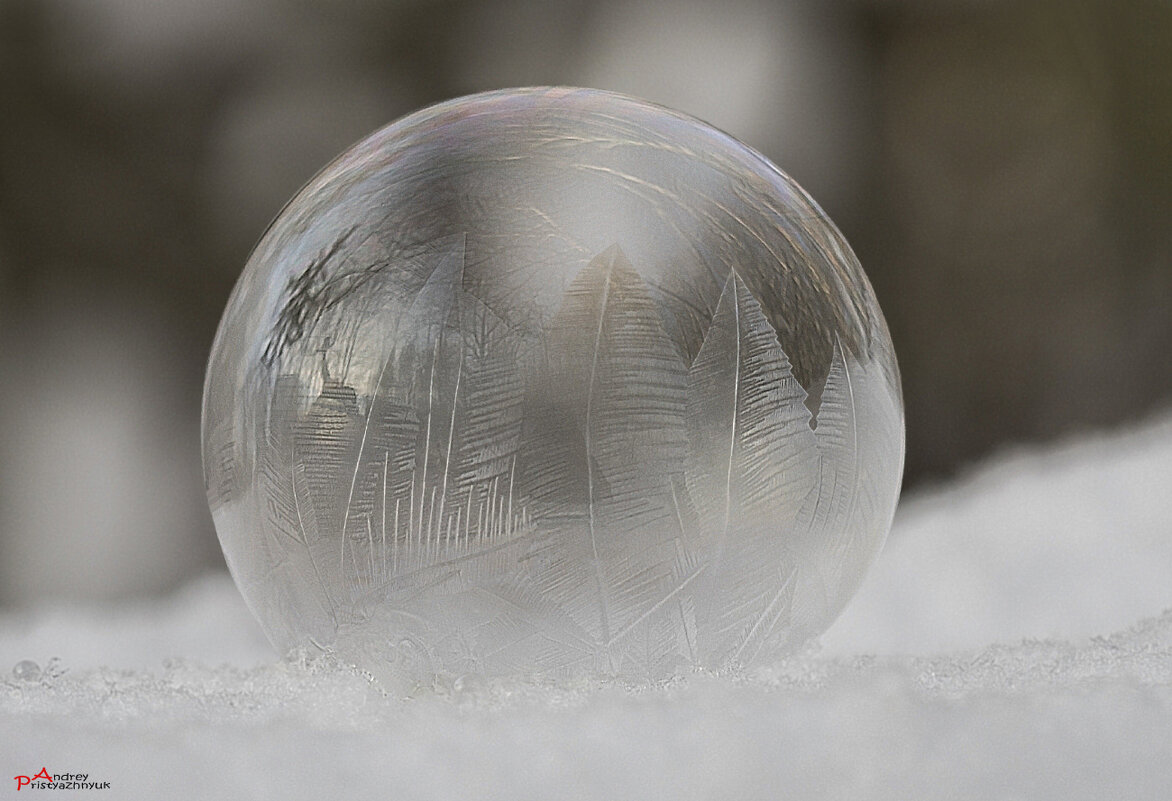 Пузырик - Андрей Пристяжнюк