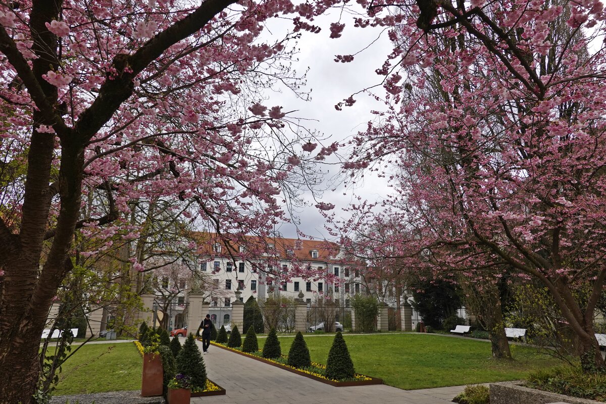 Любимый дворик... - Галина 