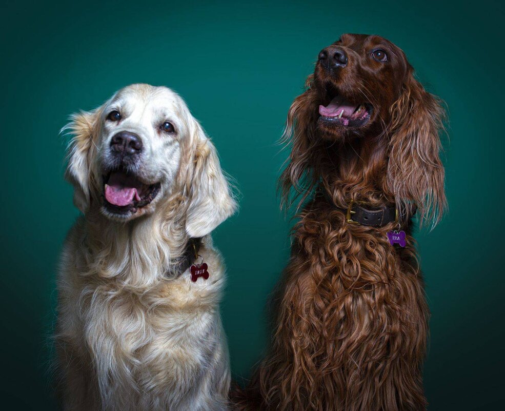 друзья - alexzonder 