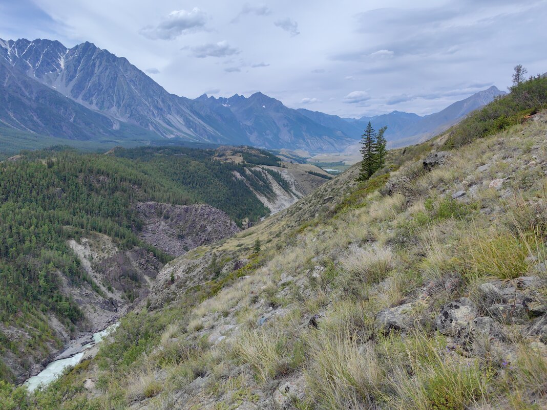 Алтайские просторы - Галина Козлова 