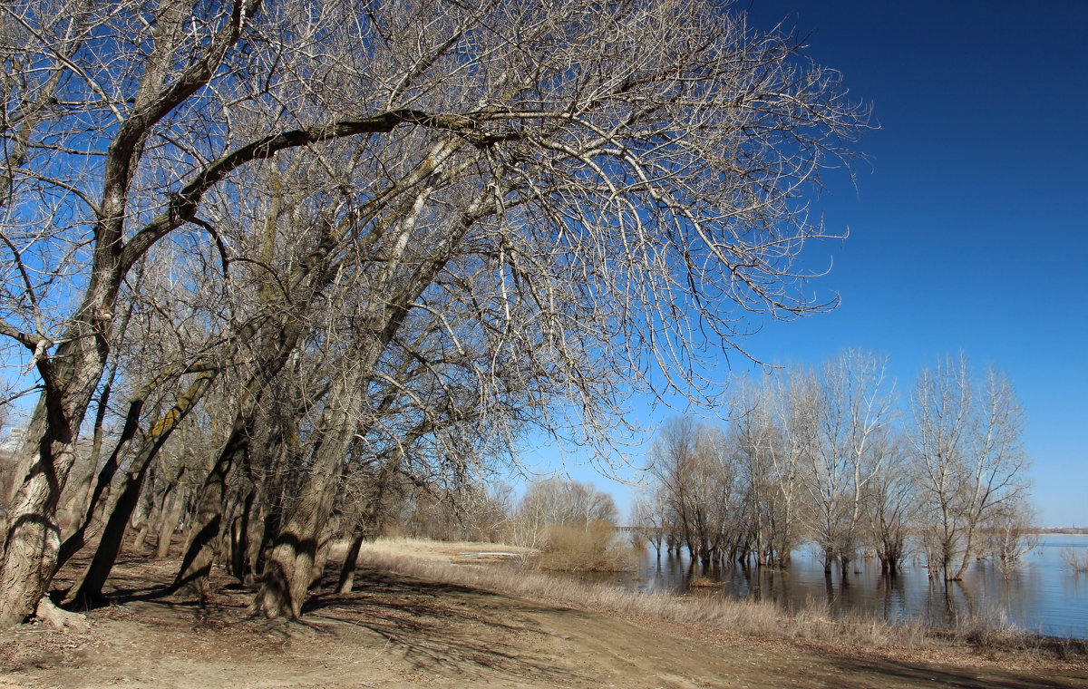 Солнечный апрель - Олегъ Петрович