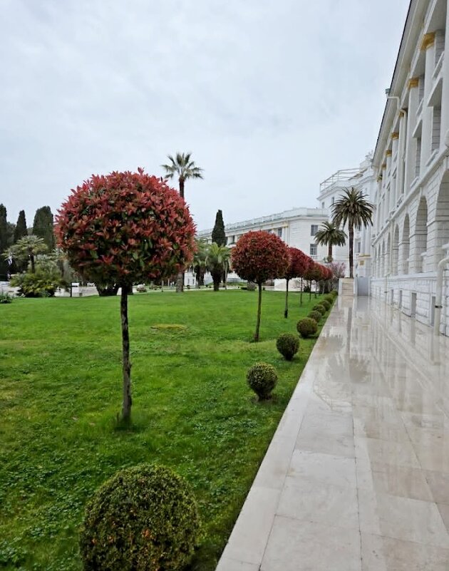 СОЧИ - Tata Wolf