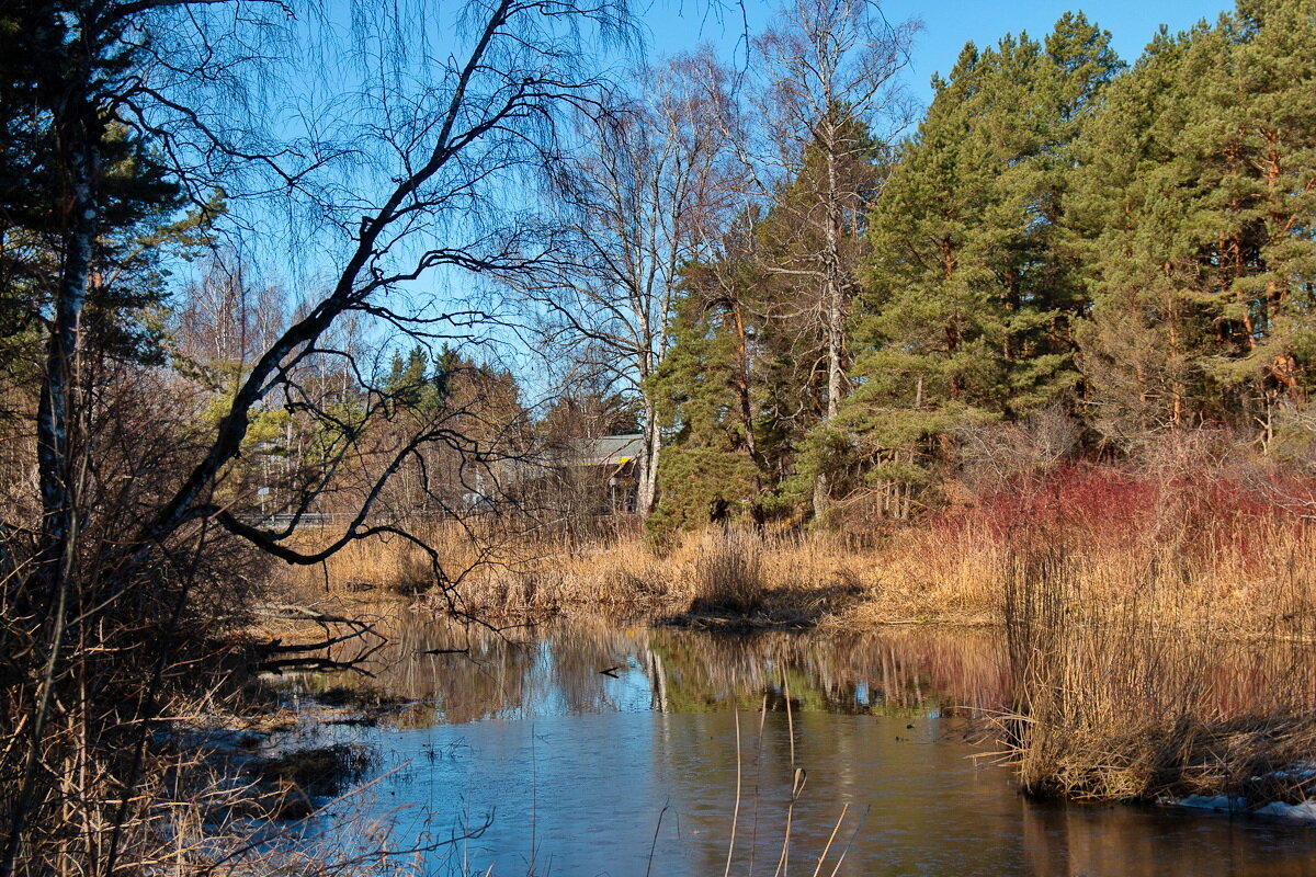*** - Геннадий Порохов