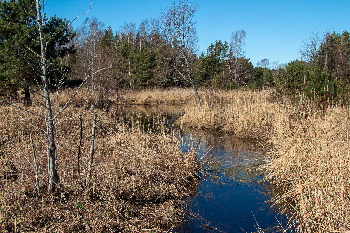 *** - Геннадий Порохов