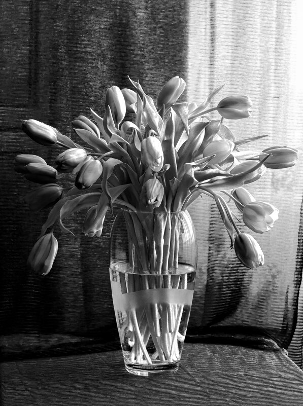 Желтые тюльпаны. - Николай 