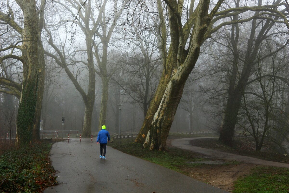 В туманном феврале - Юрий. Шмаков