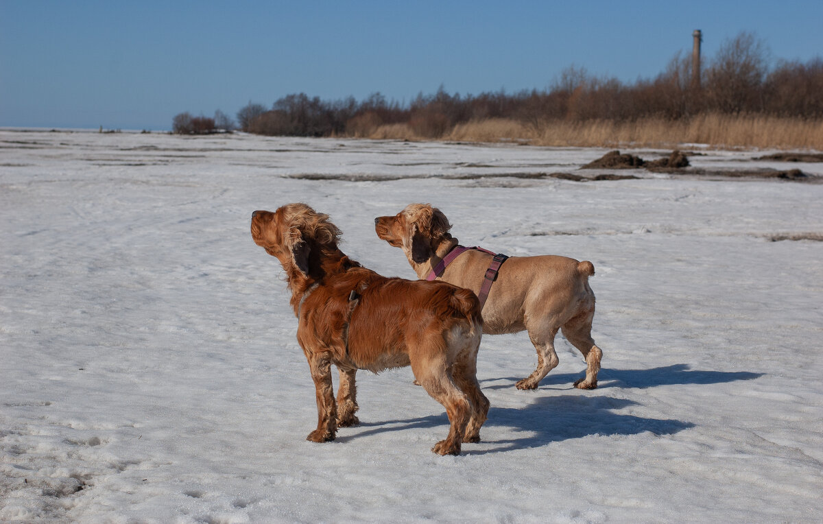 Держим нос по ветру - Павел Харлин