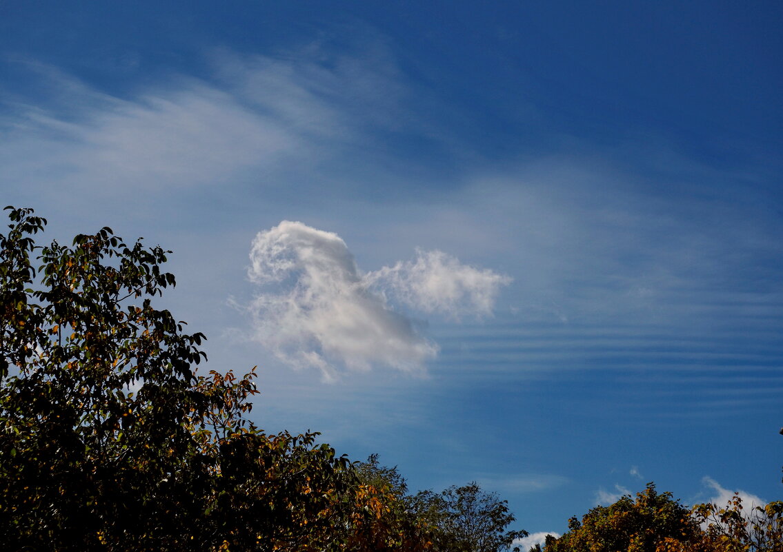 музыка сфер ) - Всеволод 