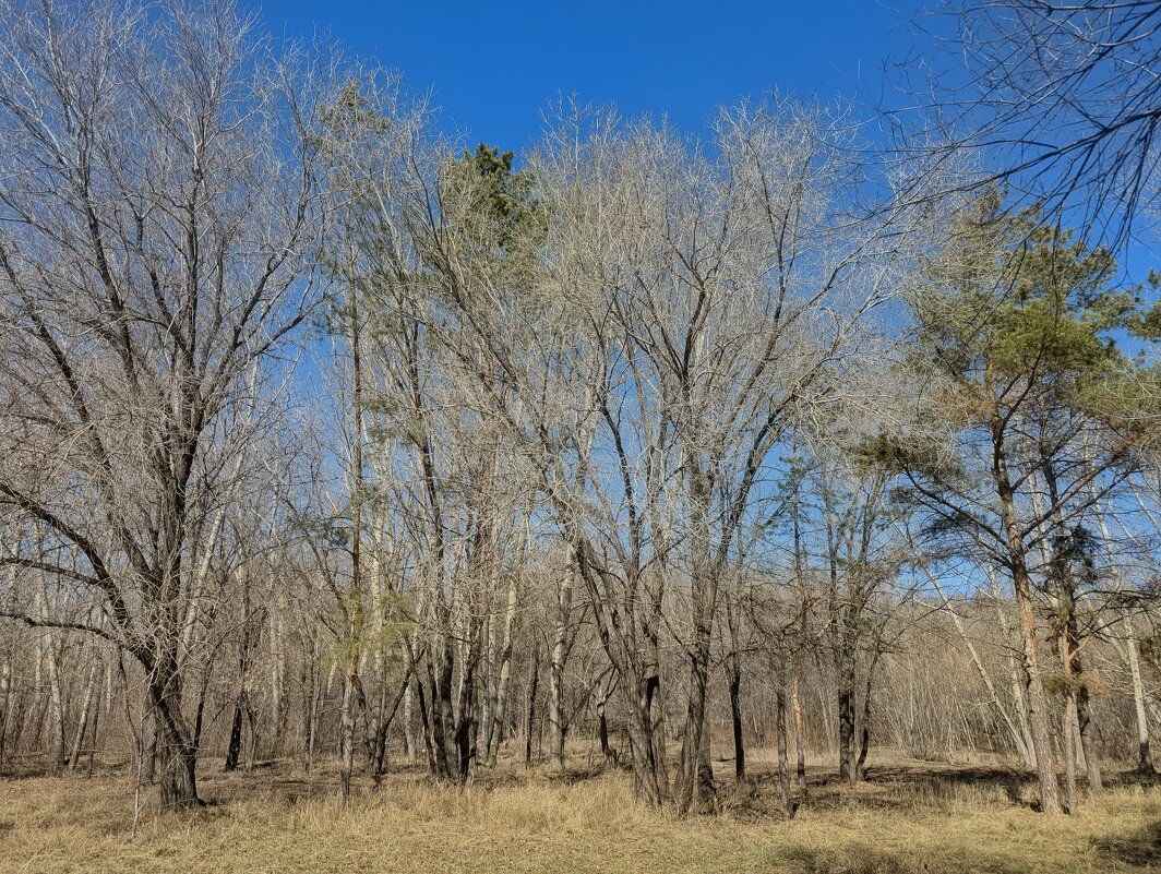 Апрель - Андрей Хлопонин
