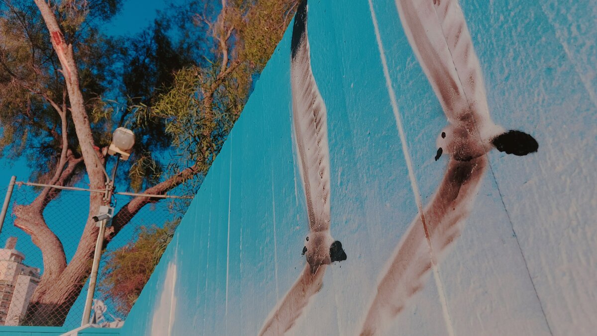 14  КЛОС (86) - СТРЕН 