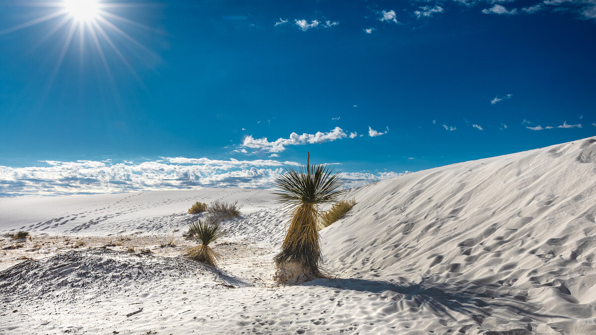 White Sands National Park. New Mexico - Николай Бабухин
