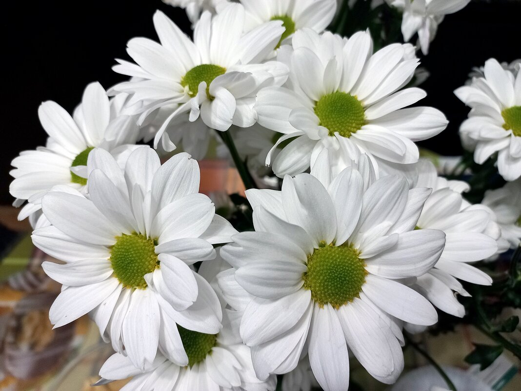 Цветы для бабули от внука - Валерий Иванович