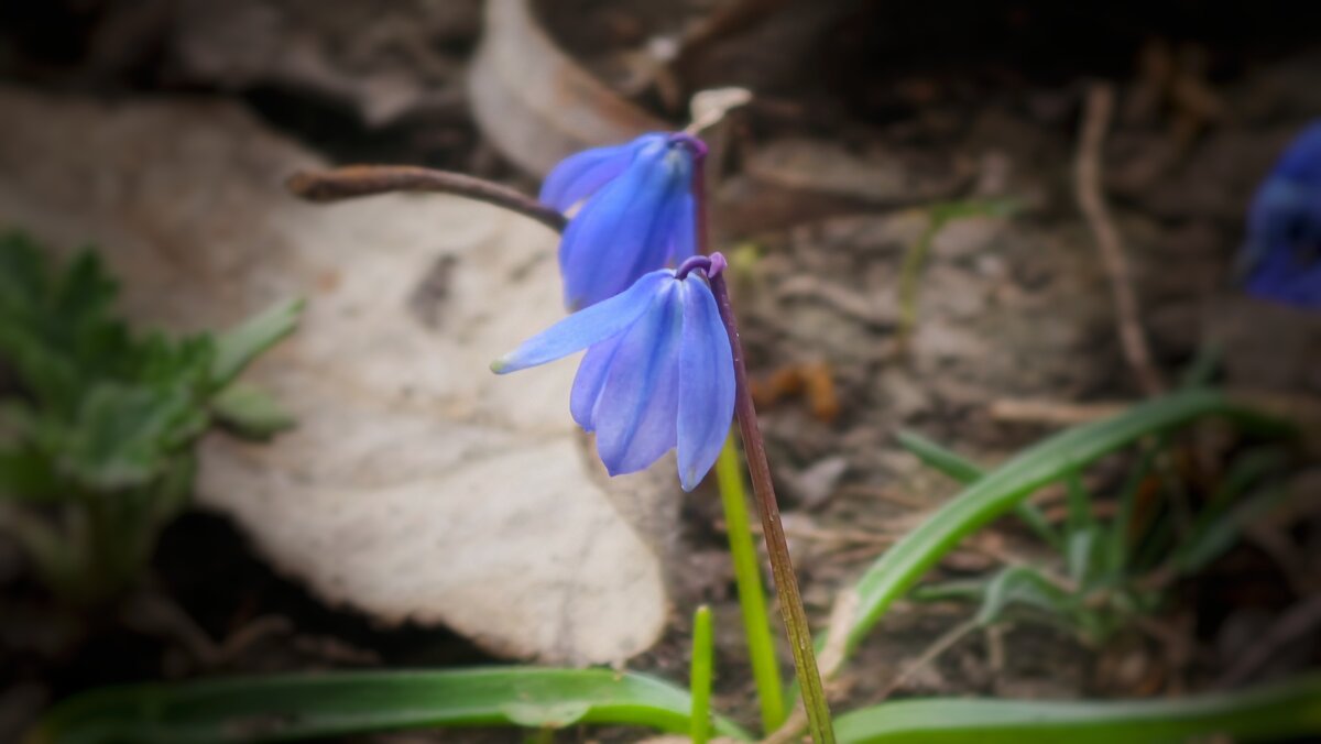 Вдвоем - Мариша Тим