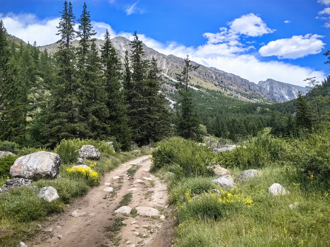Летом на Алтае - Галина Козлова 