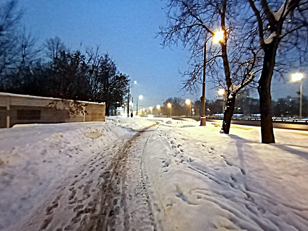 Зима. - Владимир Драгунский