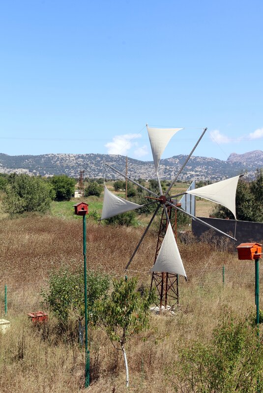 Ветряная мельница - Ольга 