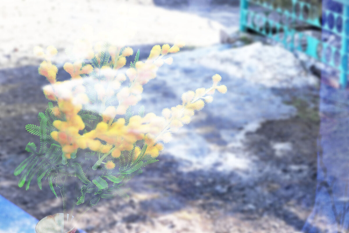 Цветы и снег - Юрий Гайворонскiий