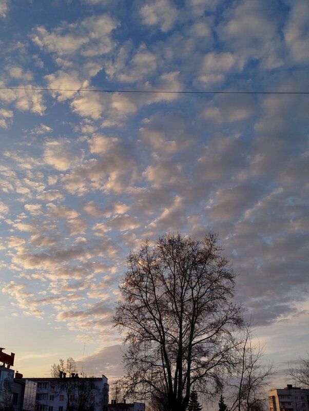 Вечернее небо - светлана льдокова