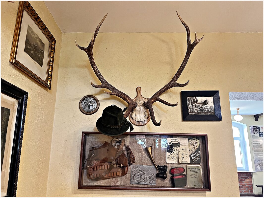 Экспонаты музея. - Валерия Комова