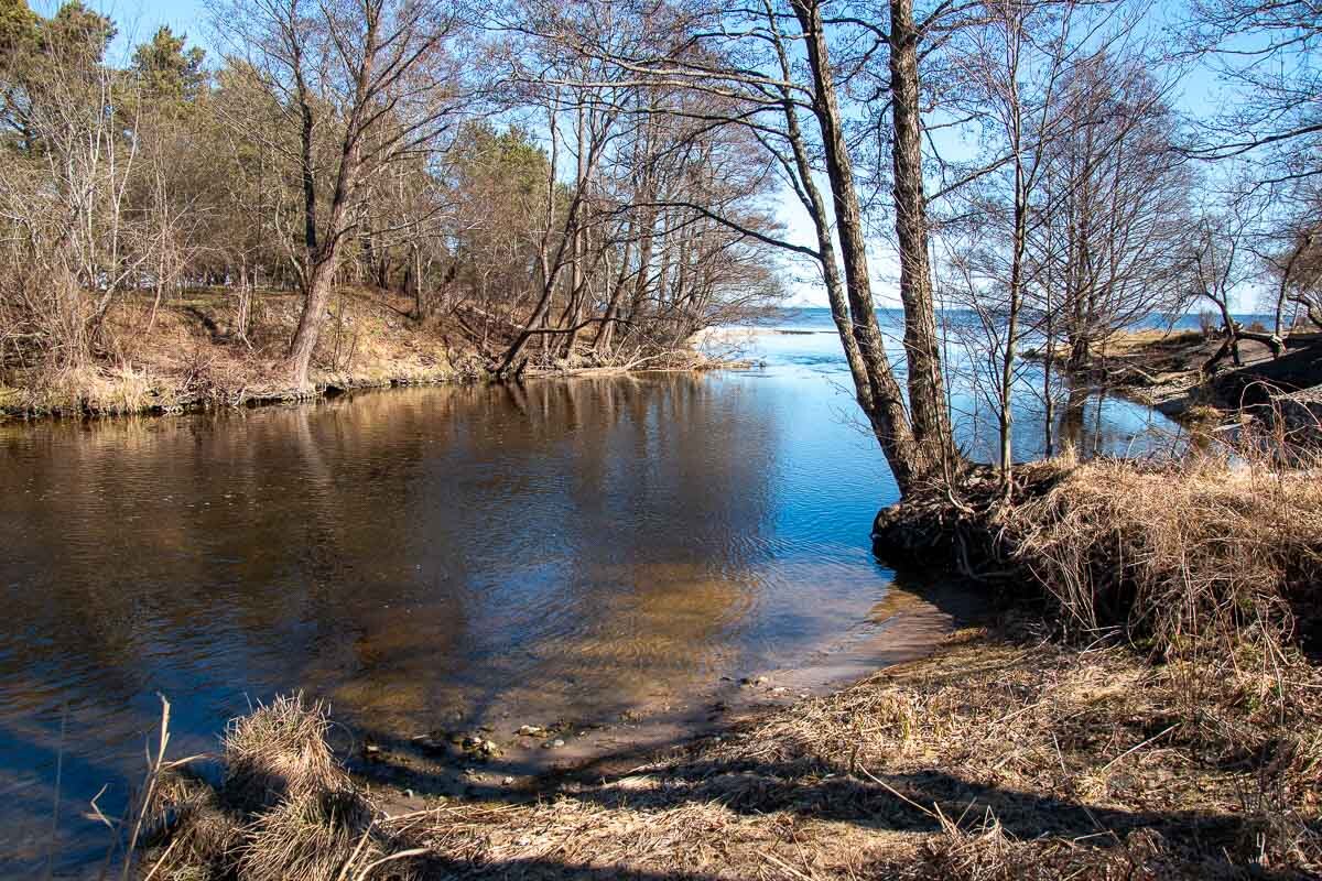 *** - Геннадий Порохов