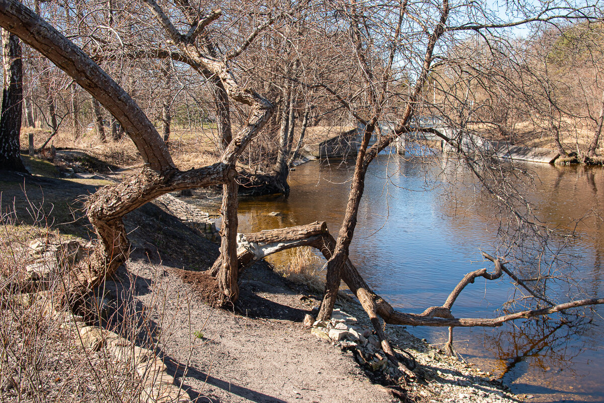*** - Геннадий Порохов