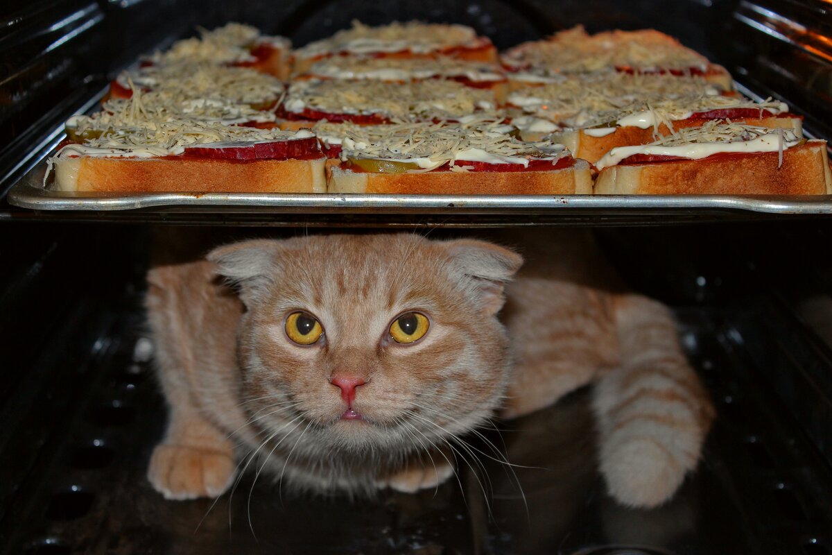 Двухслойная милота. - Татьяна Бравая