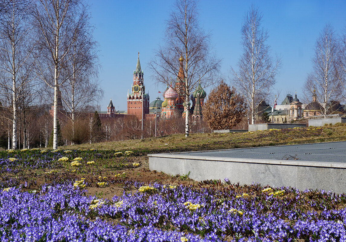 Весна в Зарадье - Ольга 
