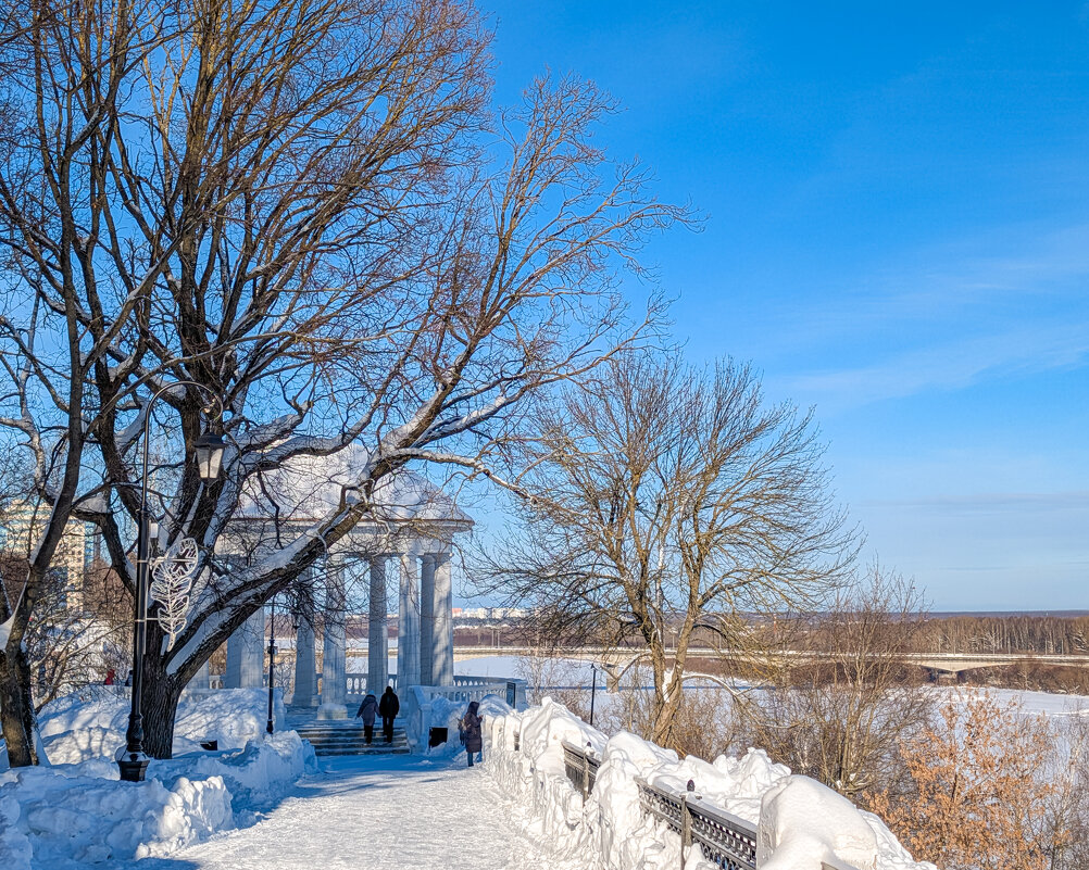 Зимний день - Анастасия Логинова