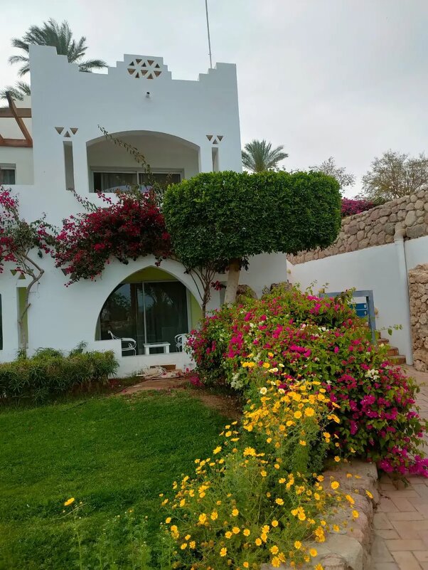 Египет. Шарм-эль-Шейх - Ирэн 