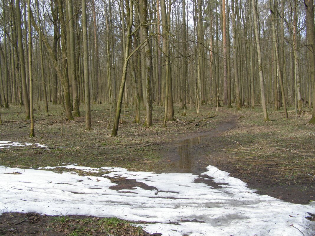 Ранняя весна 4 - Анна Воробьева