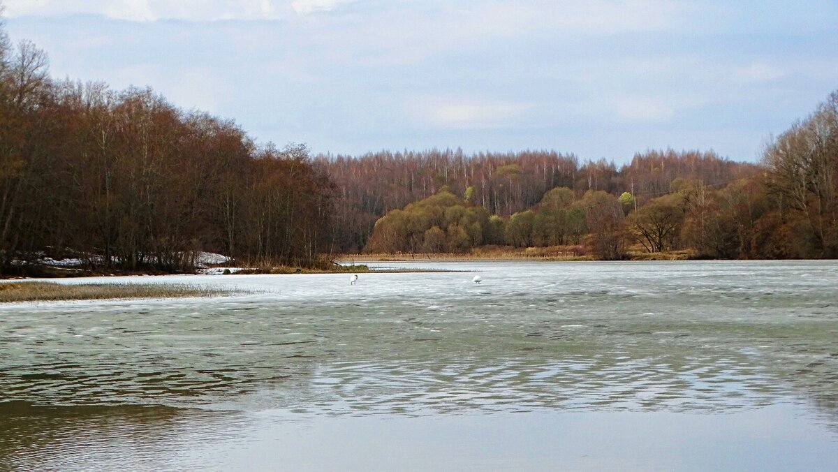 Про озёра Смоленщины. - Милешкин Владимир Алексеевич 