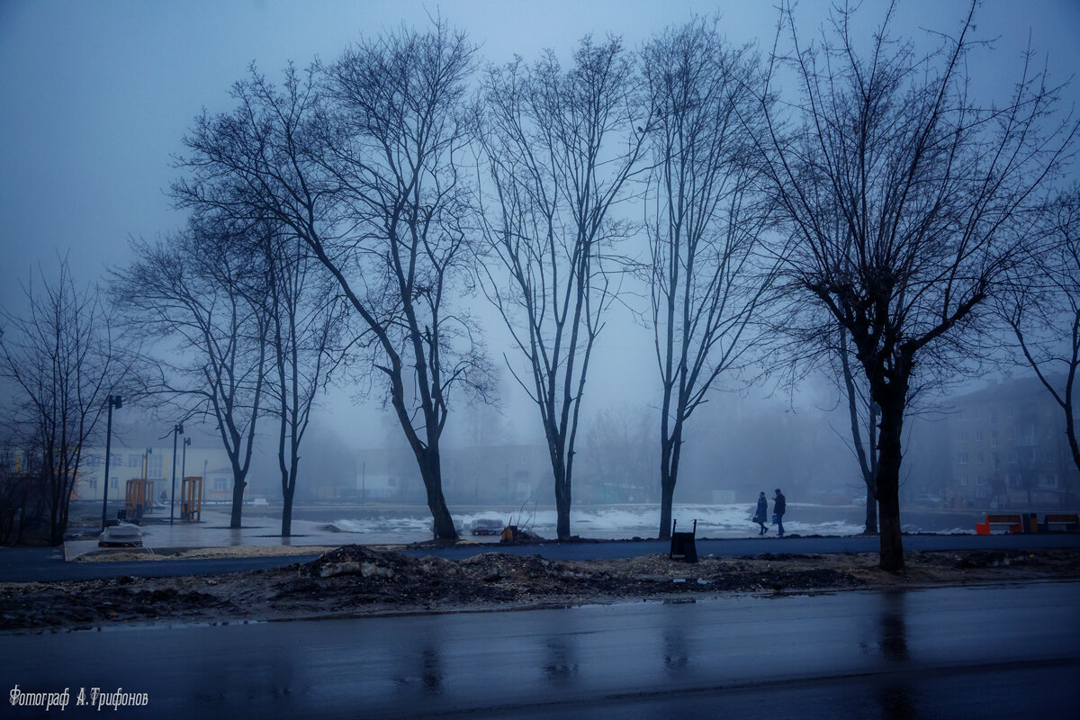 Туманный мартовский вечер - Алексей Трифонов