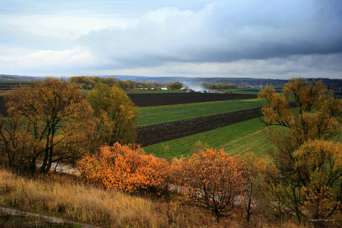 Окские поля - Владимир Гришин