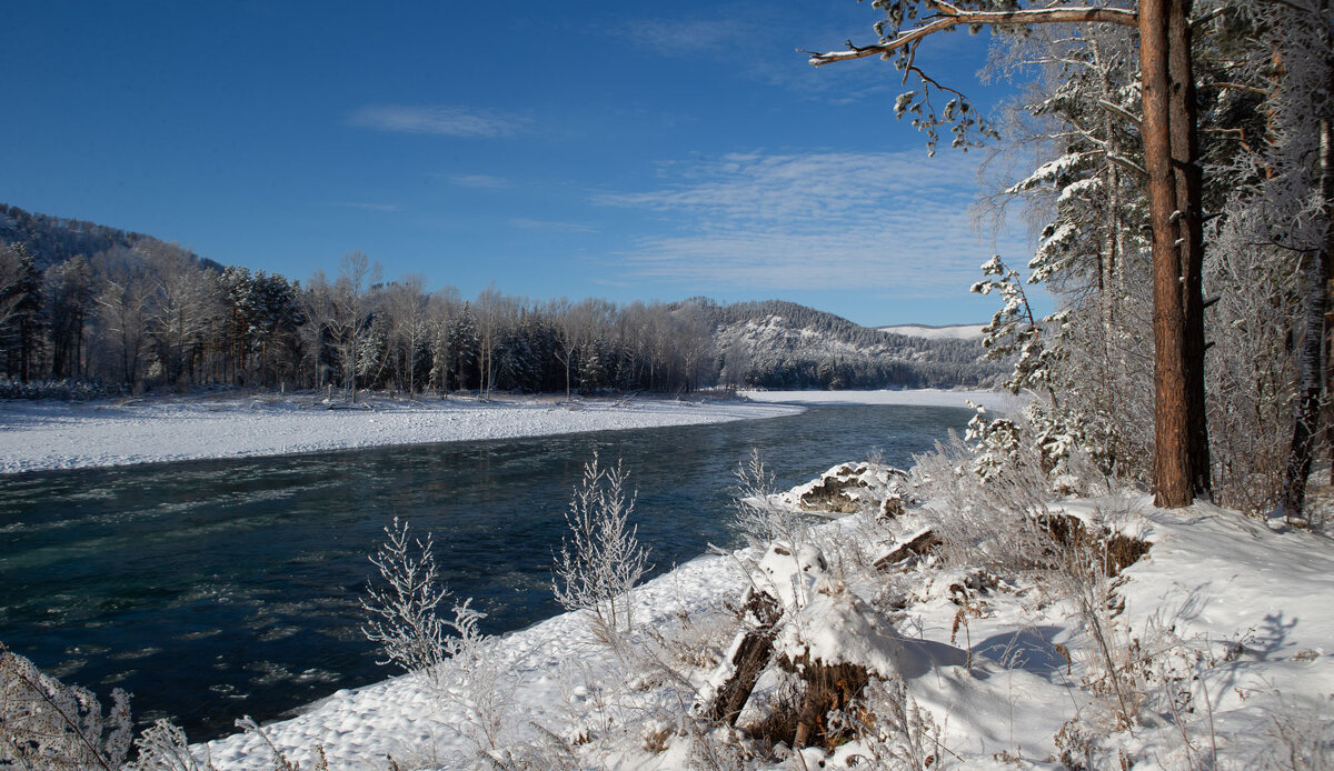 Катунь.... - владимир 